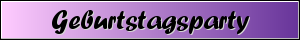 Geburtstagsparty mit Lasershow, Nebel, Licht �ber DMX mit PC gesteuert